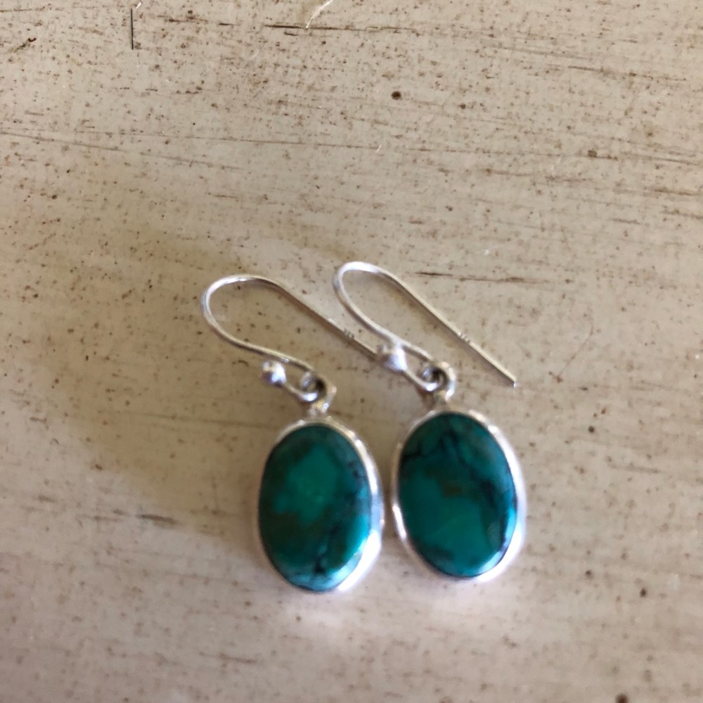 Elegant Green Turquoise Drop Earrings in Silver